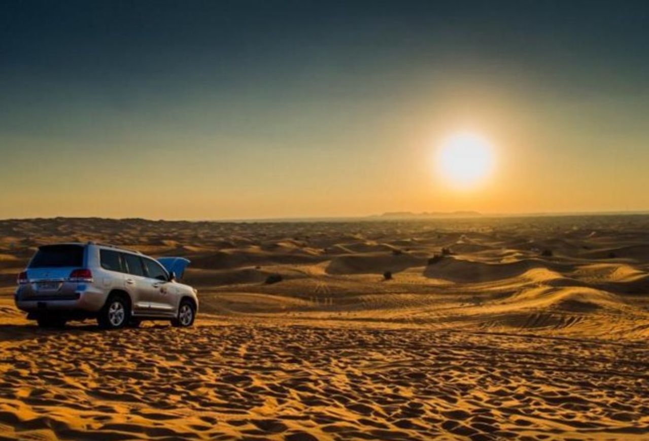 Morning Desert Safari